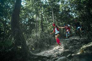 BIB: 
                            <button type="button" onclick="openModal(25989148)" class="btn btn-primary btn-sm float-right btn-popup" data-toggle="modal" data-target=".modal-high-quality">
                        <i class="fas fa-shopping-cart"></i> Add to Cart
                    </button>
                                            <button type="button" onclick="isThisMe(25989148, true)" class="btn btn-success btn-sm float-right btn-popup btn-isme hidden" data-toggle="tooltip" data-placement="bottom" title="นี่คือรูปของคุณใช่ไหม คลิกที่นี่เพื่อเอาเข้าอัลบั้ม">
                        <i class="fas fa-plus"></i> Add to album
                    </button>
                    <button type="button" onclick="isThisMe(25989148, false)" class="btn btn-warning btn-sm float-right btn-popup btn-isnotme hidden">
                        <i class="fas fa-ban"></i> Remove from album
                    </button>